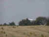 P1010214165.jpg (18883 bytes)