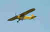 cub2122.jpg (14408 bytes)
