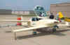 dragonfly133.jpg (24141 bytes)