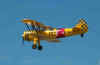stearman6185.jpg (17416 bytes)