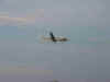 vgr_fly_by_01190.jpg (14204 bytes)