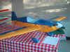 105-0562_IMG.JPG (50050 bytes)