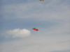 circus04d2 183.jpg (741423 bytes)